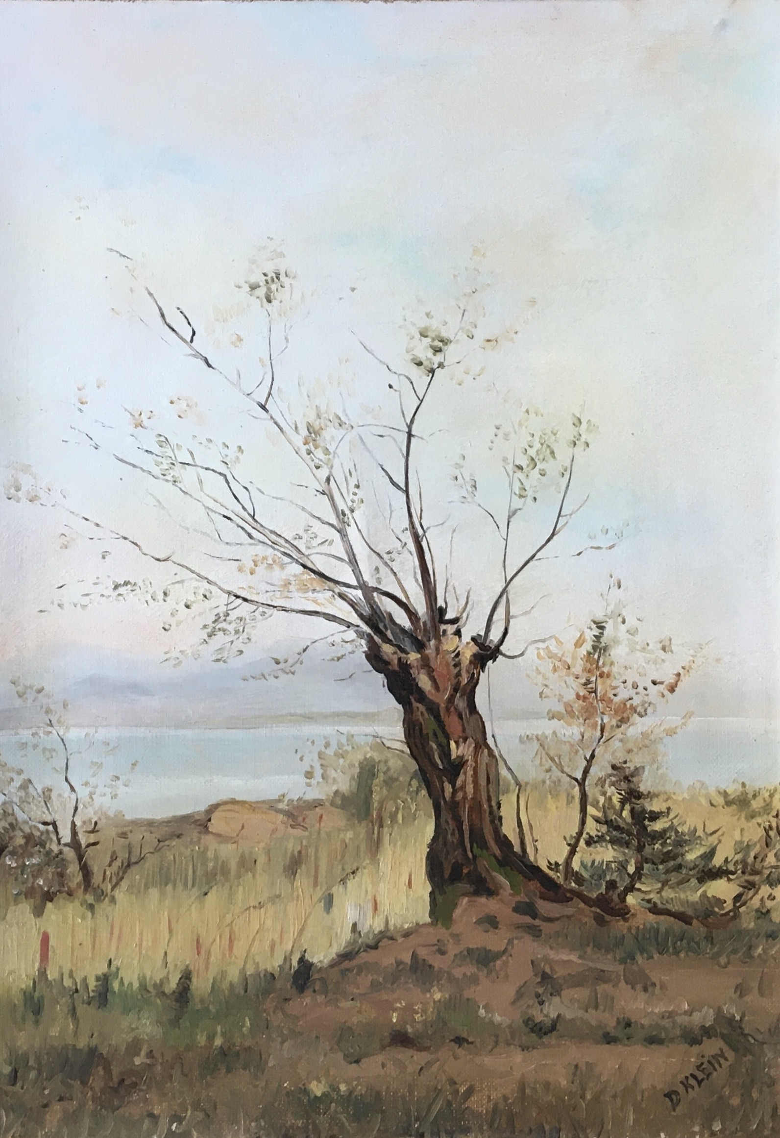Daniel Klein, Arbre en automne avec vue sur le lac Daniel Klein, Arbre en automne avec vue sur le lac