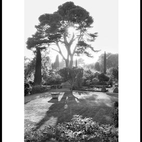 Contre-jour, Alain Longeaud