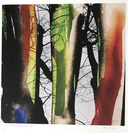 Joy of Color, Contemporary Japanese Photography, Yasuhiro Ishimoto