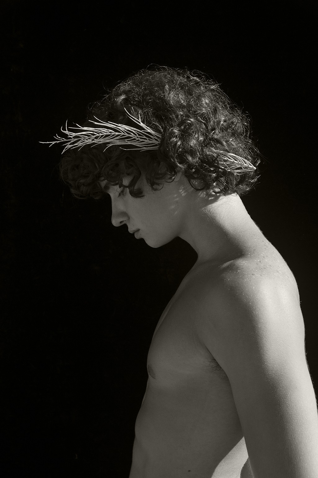 Ricky Cohete, Sea crown. Ricky Cohete, Sea crown.