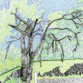Fine Art Drawings, Dans l’atelier en plein air / Le Vieux cerisier., ARySQUE