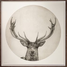 Guy Allen, Moon Stag Guy Allen, Moon Stag