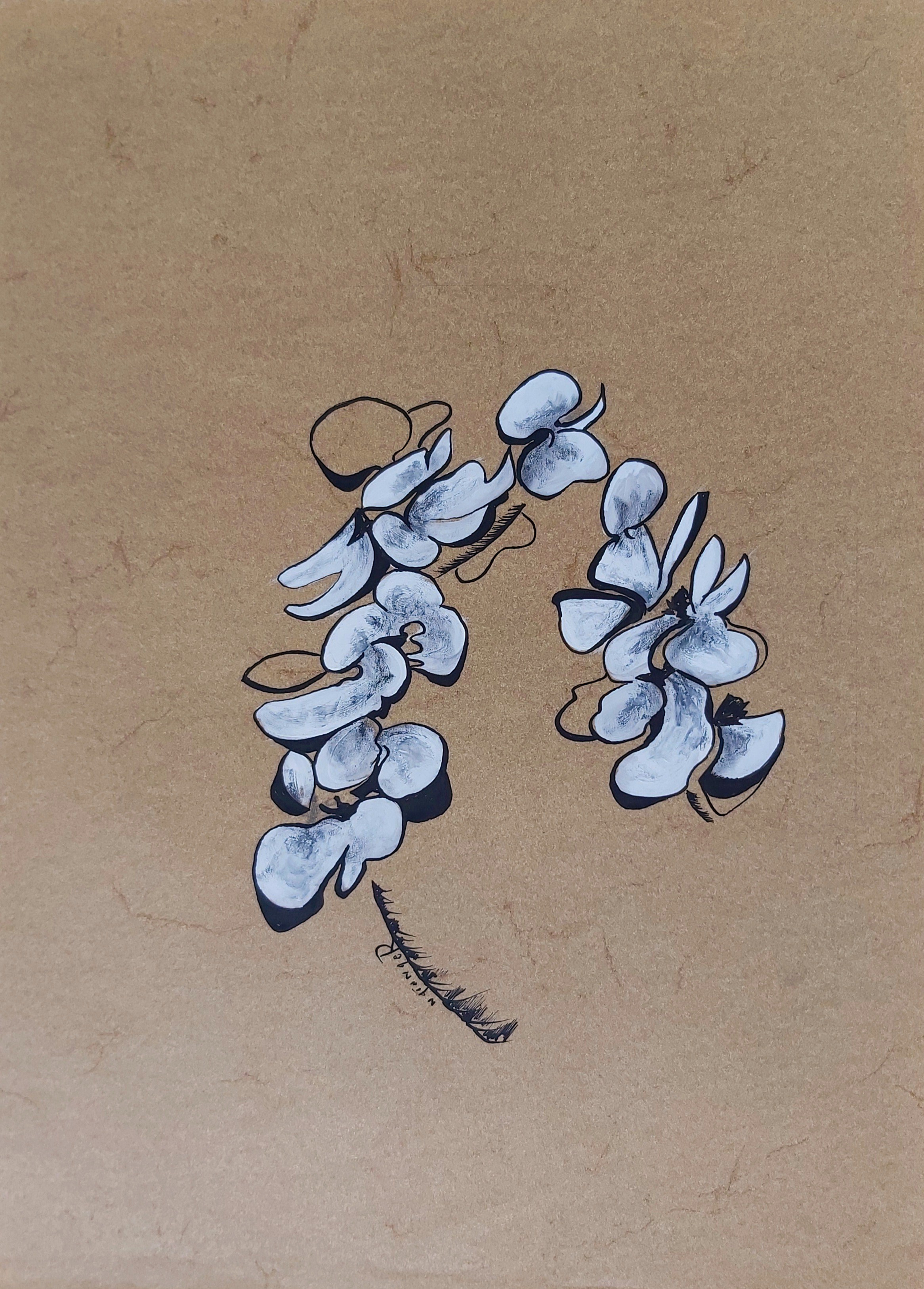Noël Granger, Orchidée blanche Noël Granger, Orchidée blanche