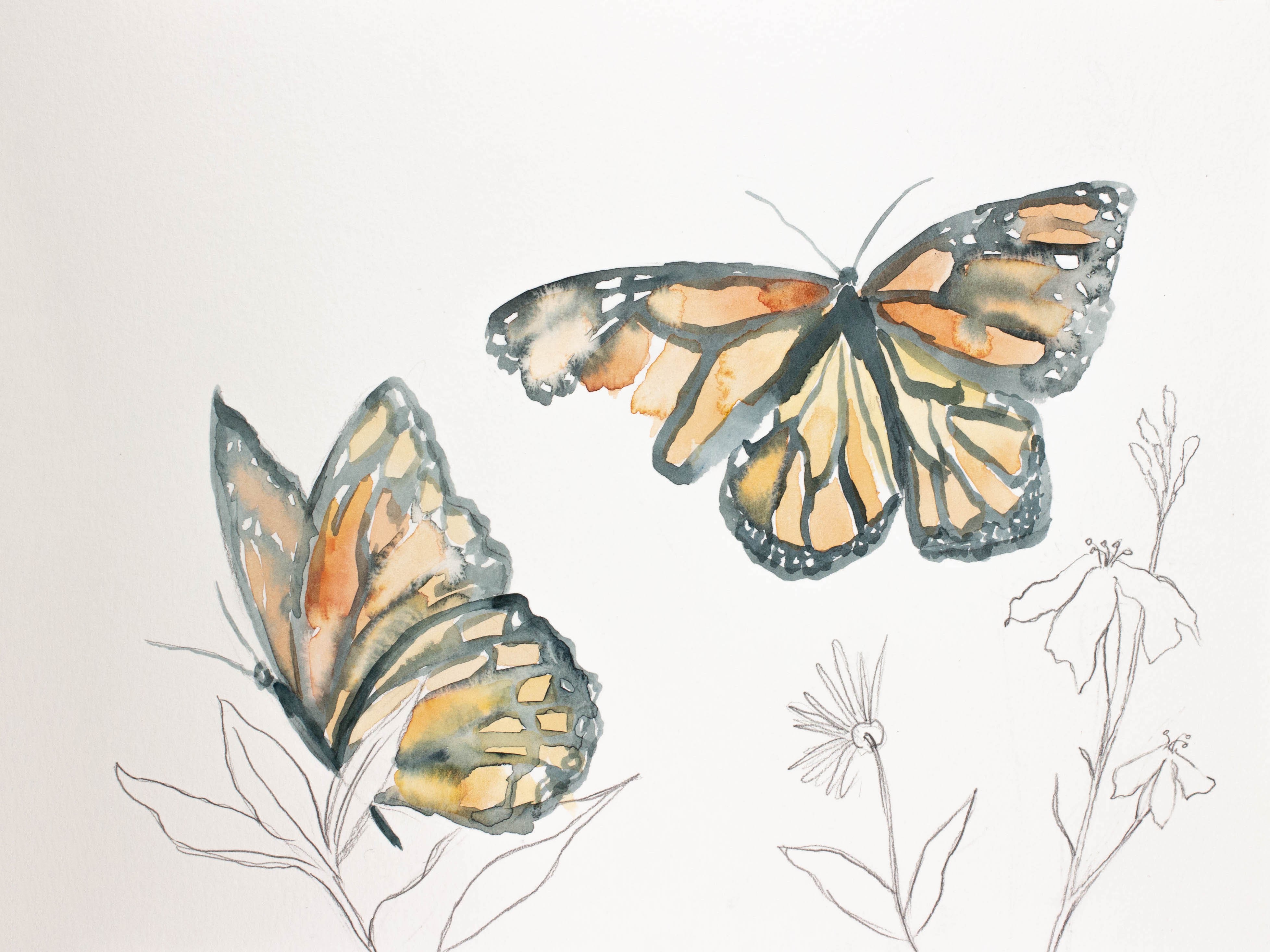 Elizabeth Becker, Monarch Study No. 11 Elizabeth Becker, Monarch Study No. 11