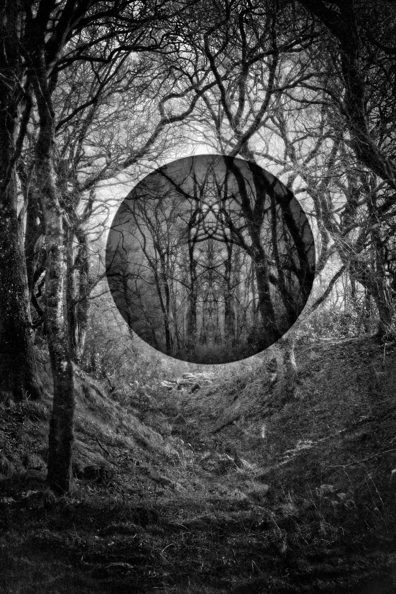 Laurence Winram, Darkness Laurence Winram, Darkness