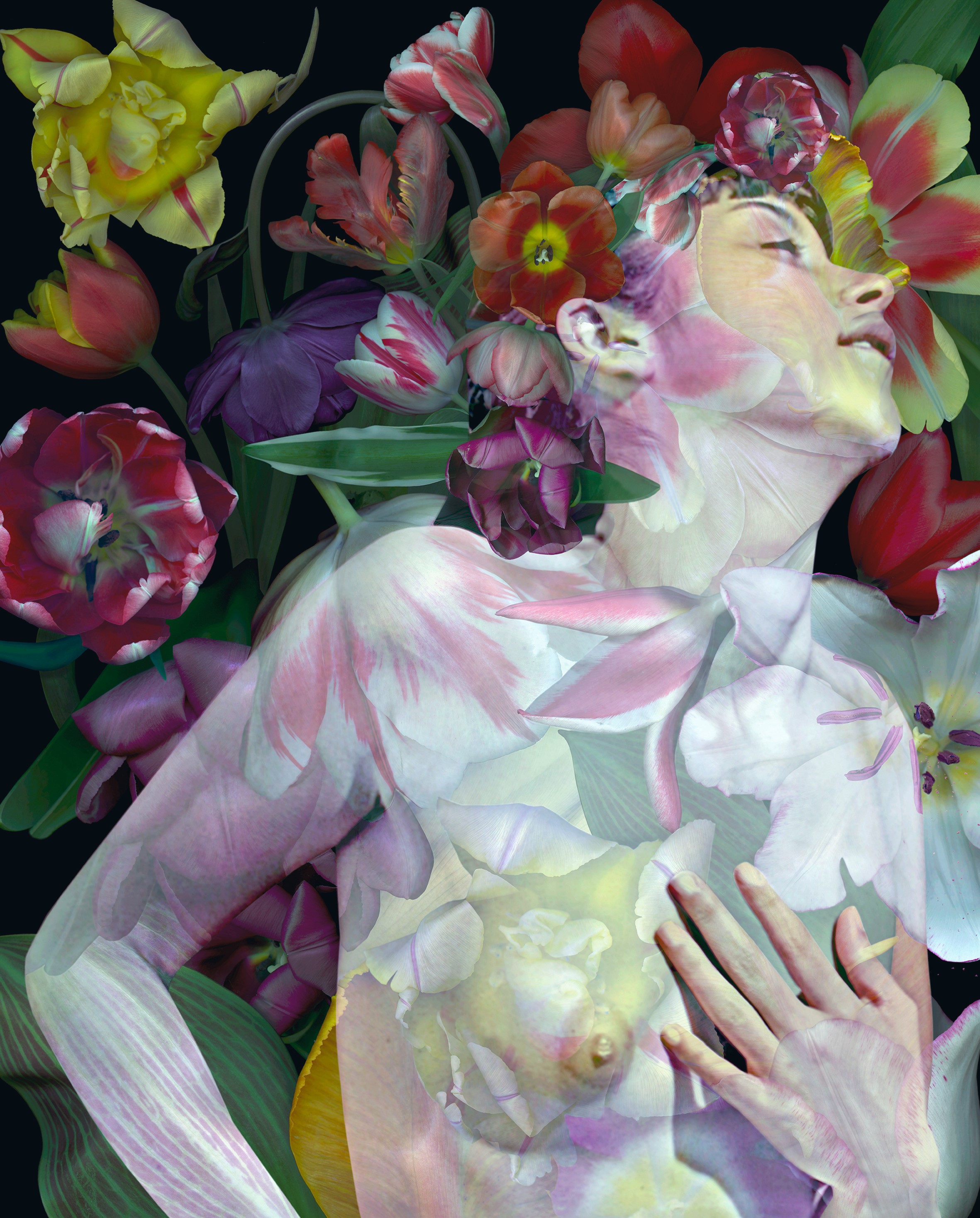 Zoltan Gerliczki, Fauna #1 Zoltan Gerliczki, Fauna #1