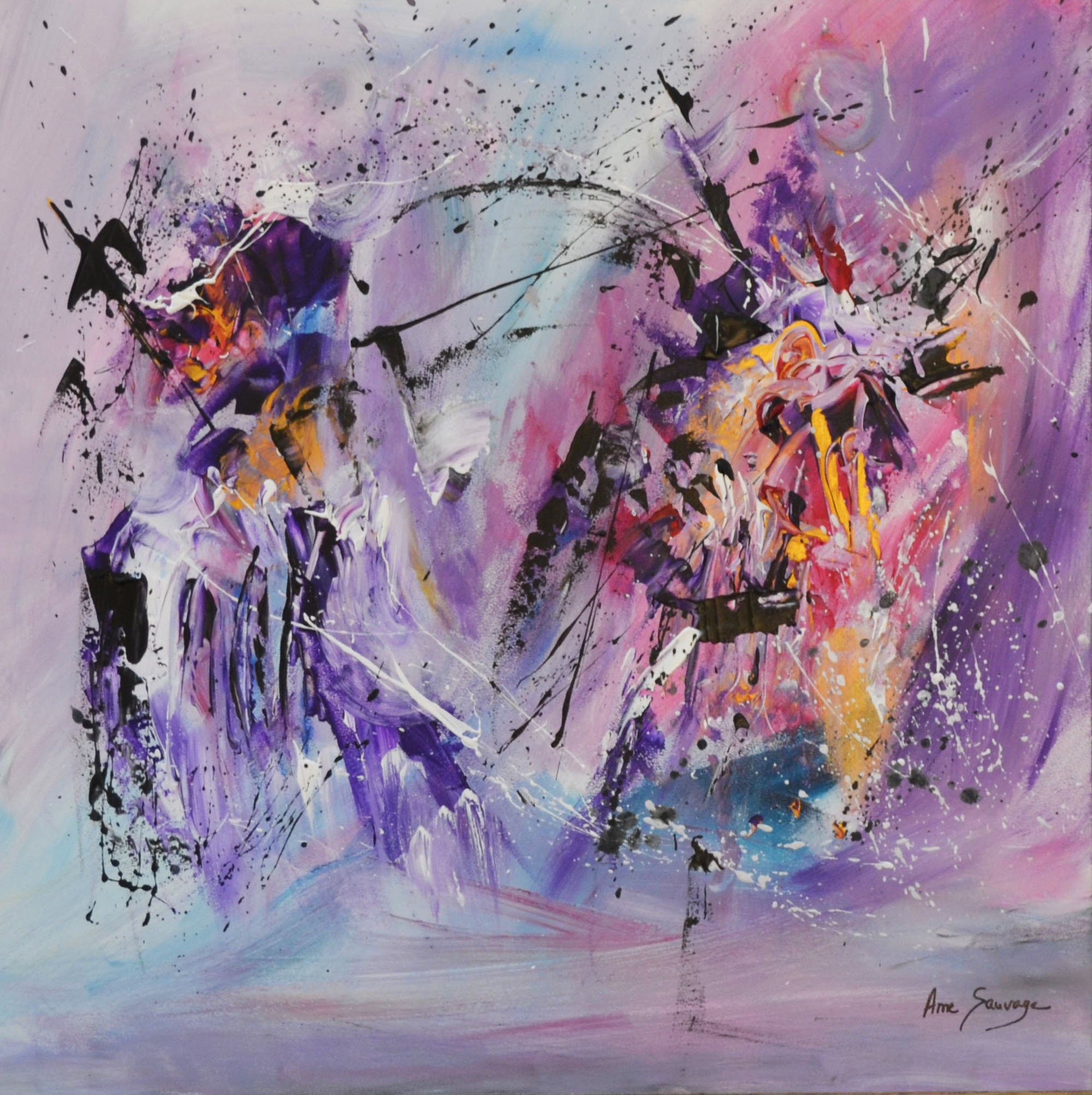 Âme Sauvage, Le géant bienfaiteur Âme Sauvage, Le géant bienfaiteur