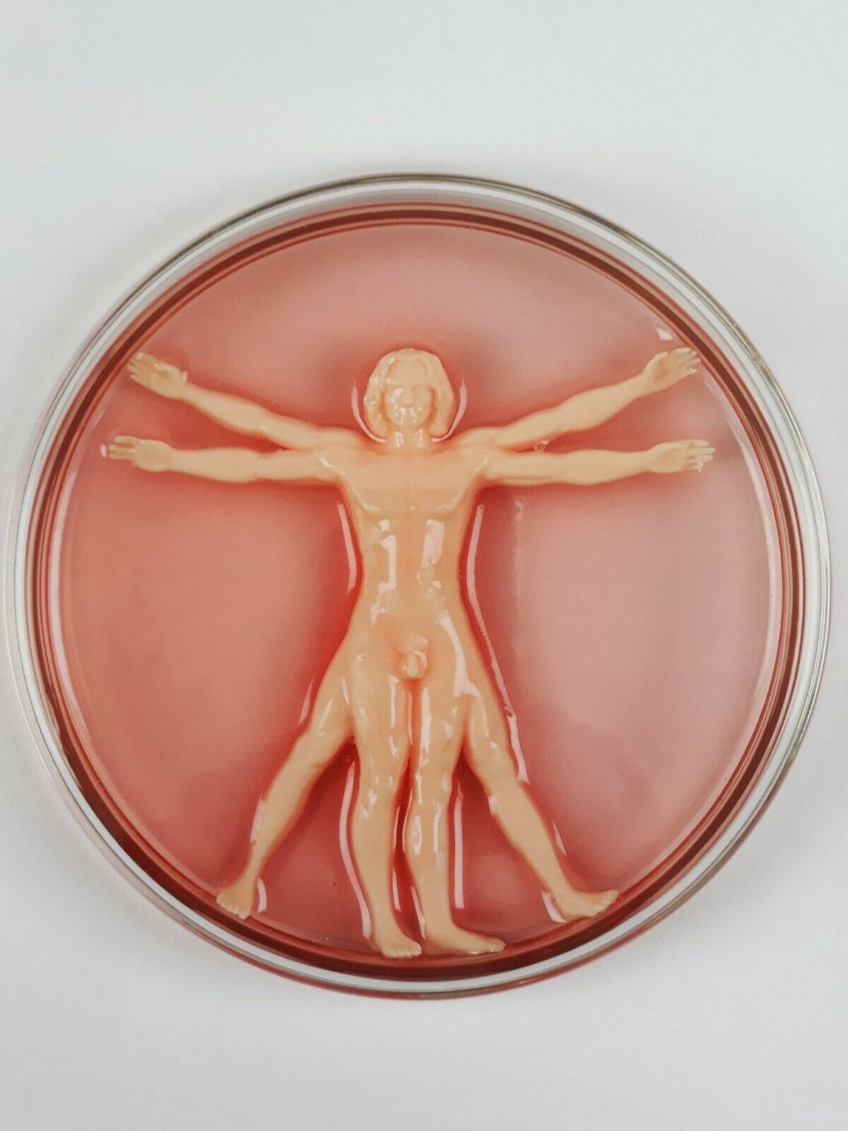Imbue, Vitruvian man-made (print) Imbue, Vitruvian man-made (print)