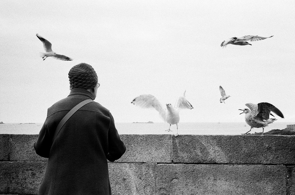 Alain Le Chapelier, The Woman with the Gulls Alain Le Chapelier, The Woman with the Gulls