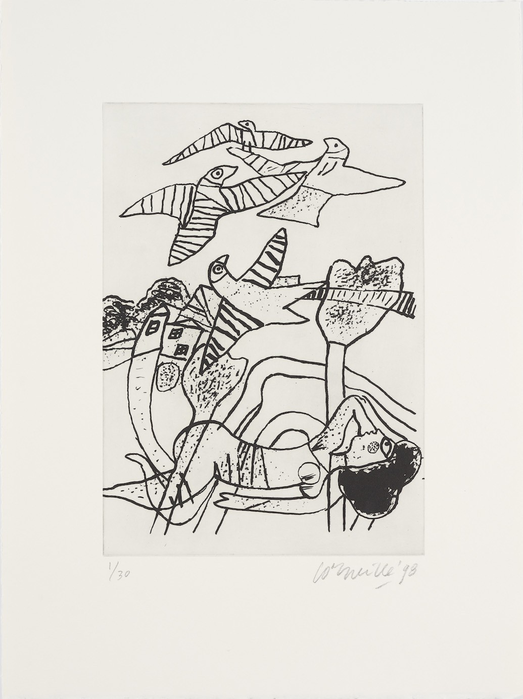 Corneille, Envol des oiseaux. Corneille, Envol des oiseaux.