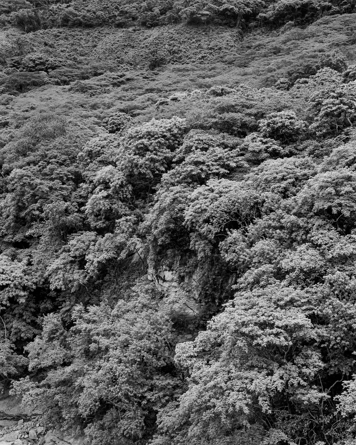 Miguel Winograd, Ituango, Pigment Prints Miguel Winograd, Ituango, Pigment Prints
