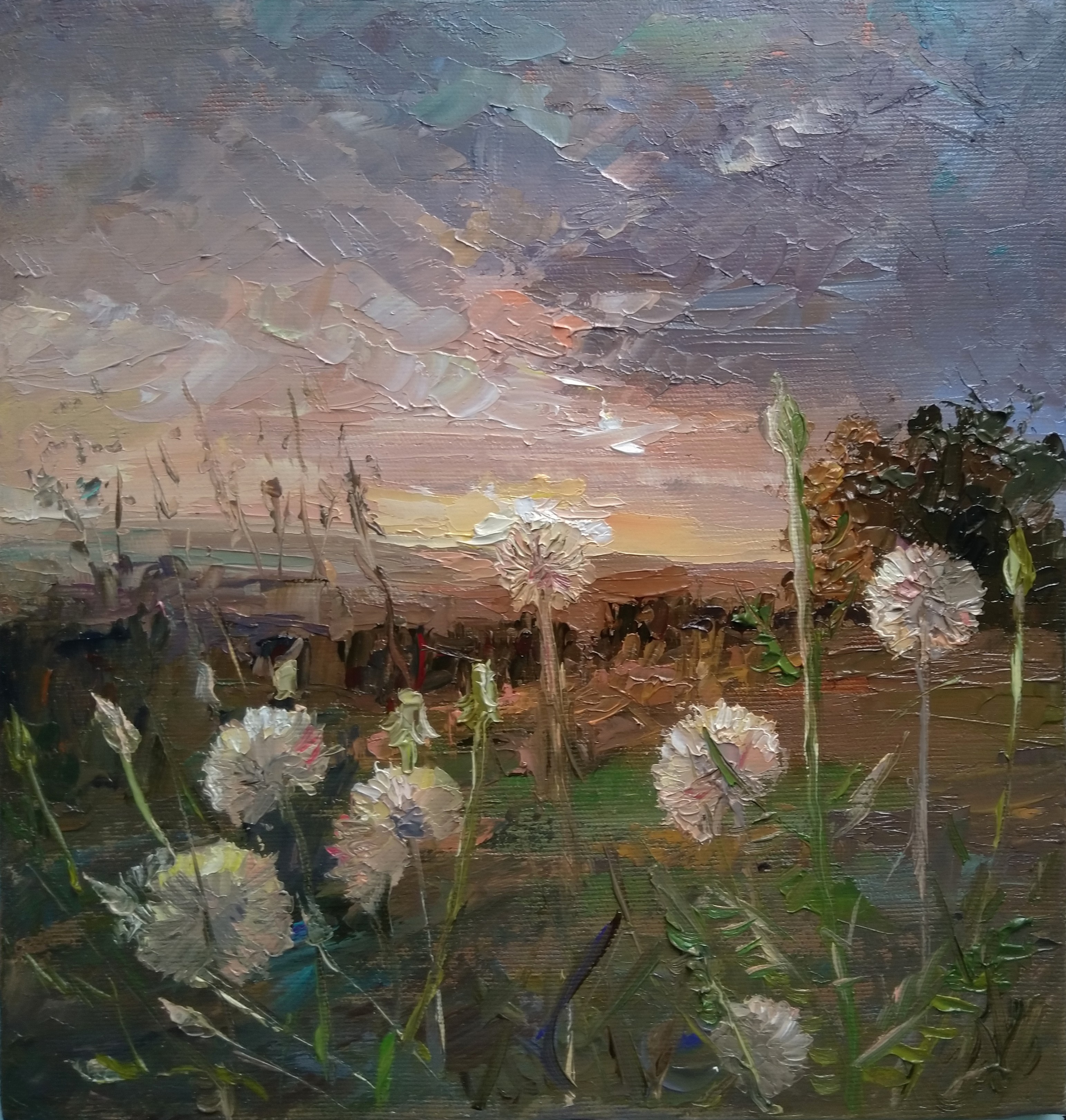 Kamsar Ohanyan, Dandelion Kamsar Ohanyan, Dandelion