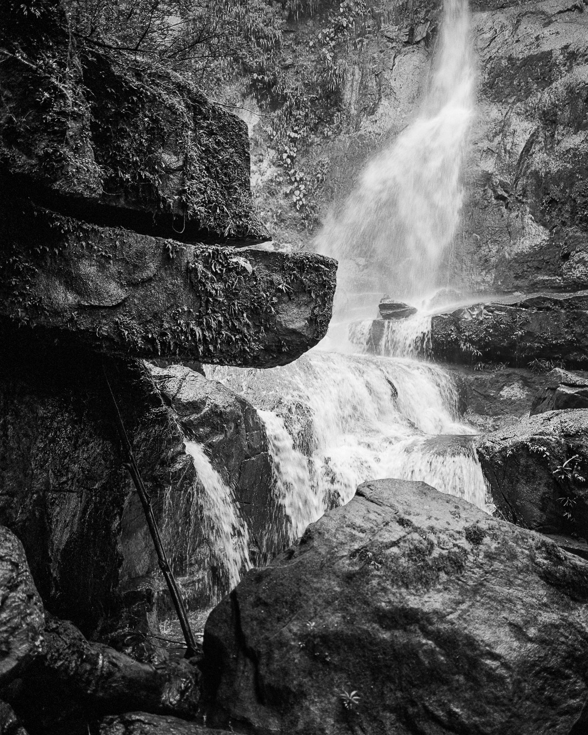 Miguel Winograd, Jardines de Sucumbíos, Landscape Pigment Print photograph Miguel Winograd, Jardines de Sucumbíos, Landscape Pigment Print photograph