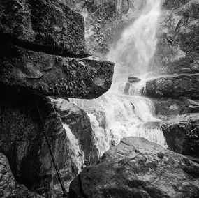 Photographie, Jardines de Sucumbíos, Landscape Pigment Print photograph, Miguel Winograd