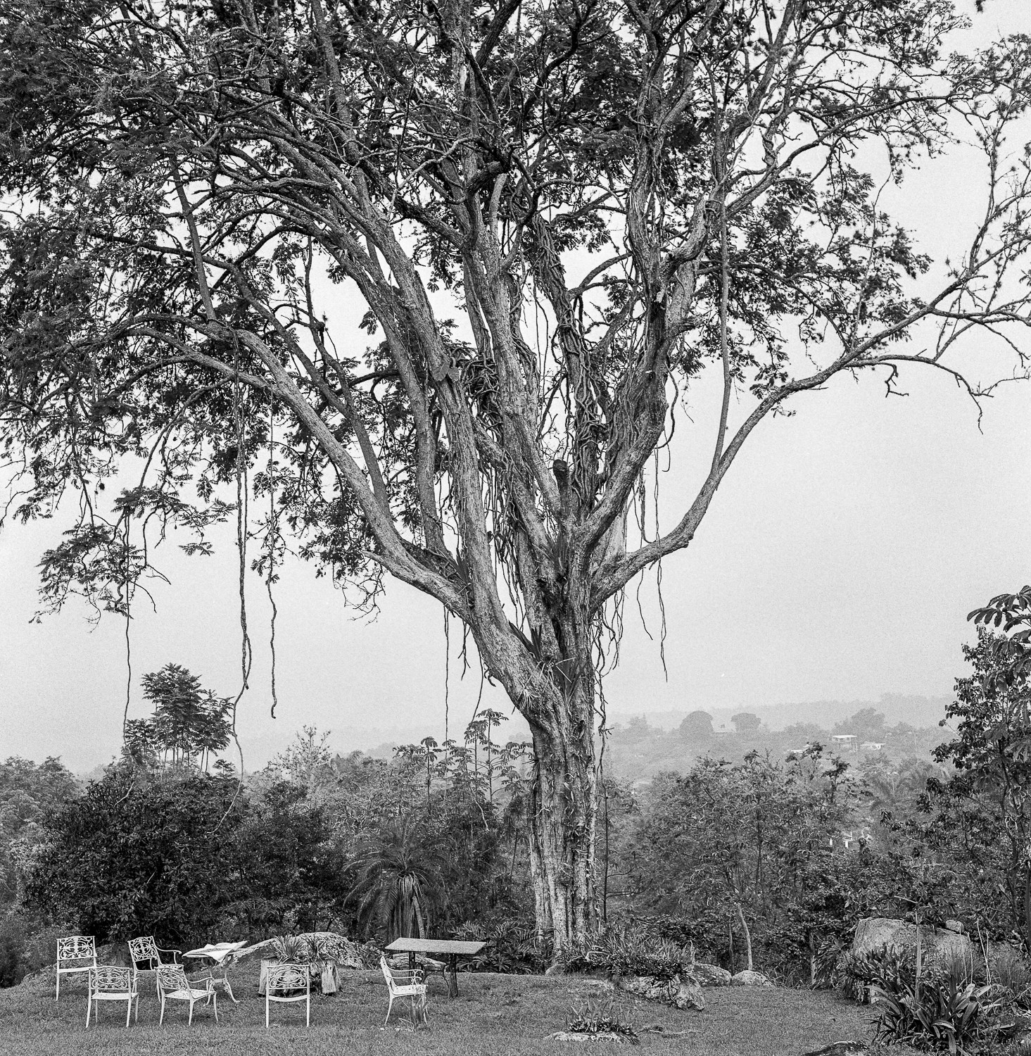 Miguel Winograd, Fusagasugá Miguel Winograd, Fusagasugá
