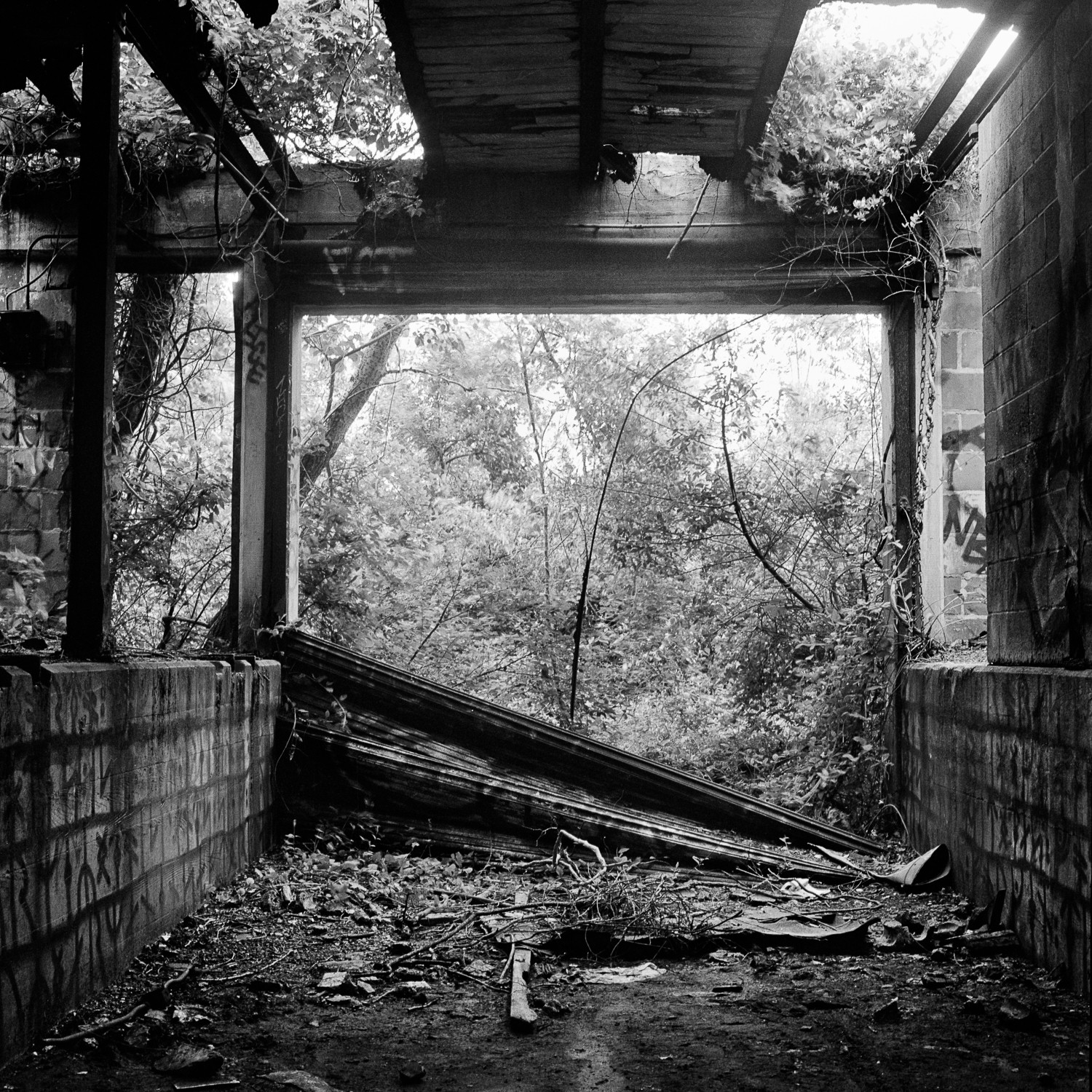 Miguel Winograd, Fort Tilden Miguel Winograd, Fort Tilden