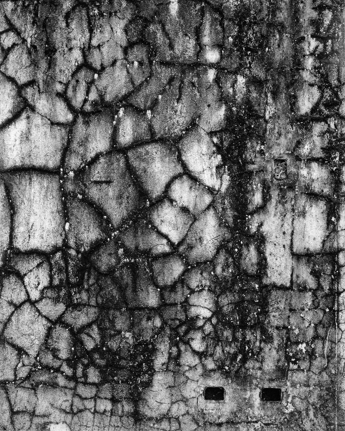 Miguel Winograd, Pared el Palmar, Pigment Prints Miguel Winograd, Pared el Palmar, Pigment Prints