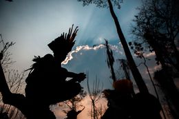 Photographie, Just another Sunset in Amazonia, Brazil, David Tesinsky