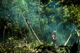 Fotografien, In the jungle, Montego Bay, Jamaica, David Tesinsky