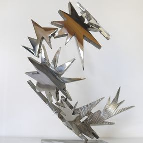 Sculpture, Star 1, Guillaume Roche