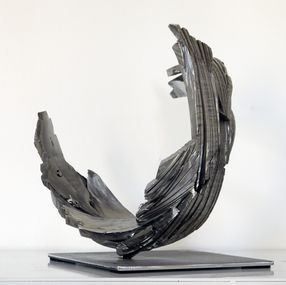 Sculpture, Storm 15, Guillaume Roche