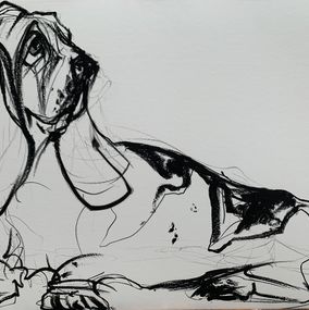 Basset, Sonia Lalic