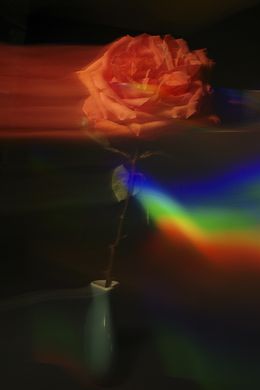 Pride, UK, Annalaura Pretaroli