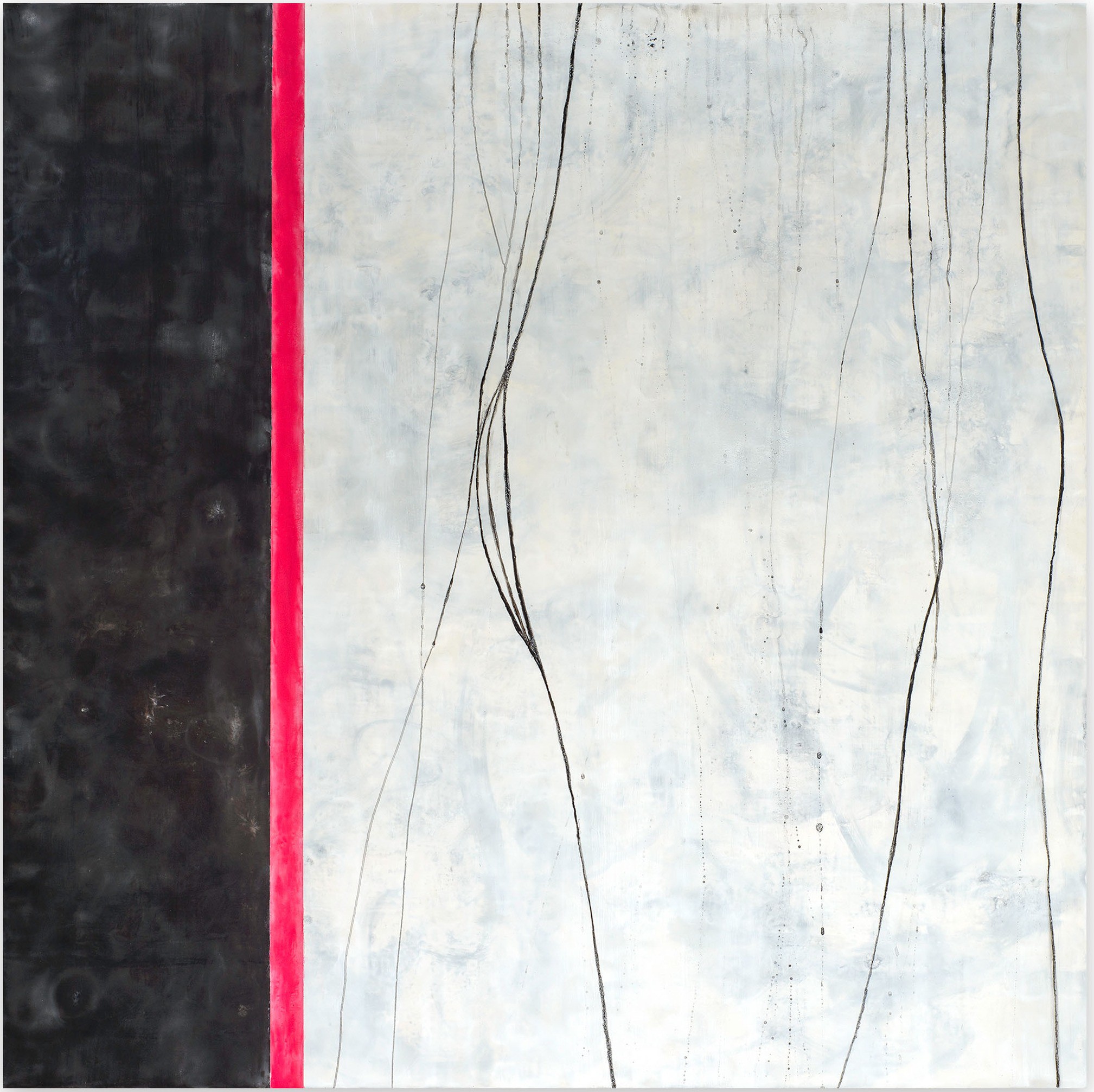 Tracey Adams, Why I wake early Tracey Adams, Why I wake early