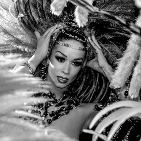 Plumes | Danha, Thierry Parhad