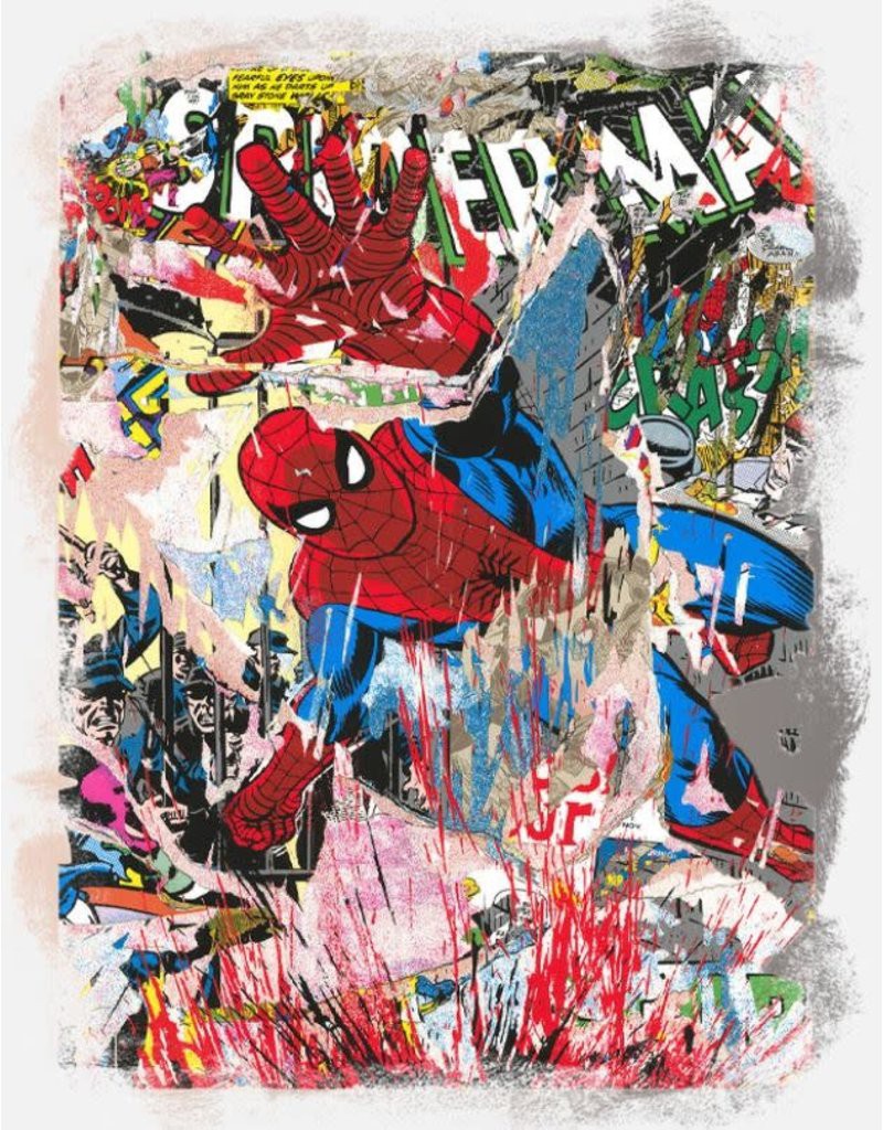 Mr Brainwash, Spider-Man Mr Brainwash, Spider-Man