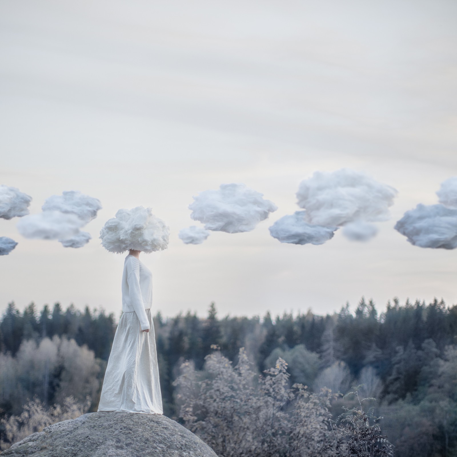 Dasha Pears, Head in the Clouds Dasha Pears, Head in the Clouds