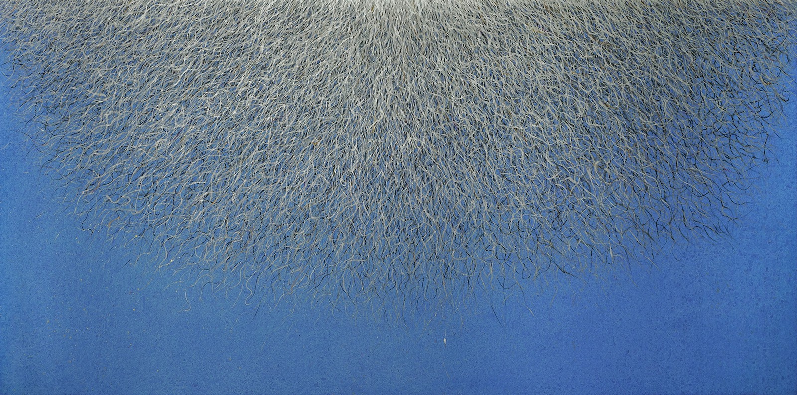 Suoyuan Wang, Propagation 2020 1 Suoyuan Wang, Propagation 2020 1