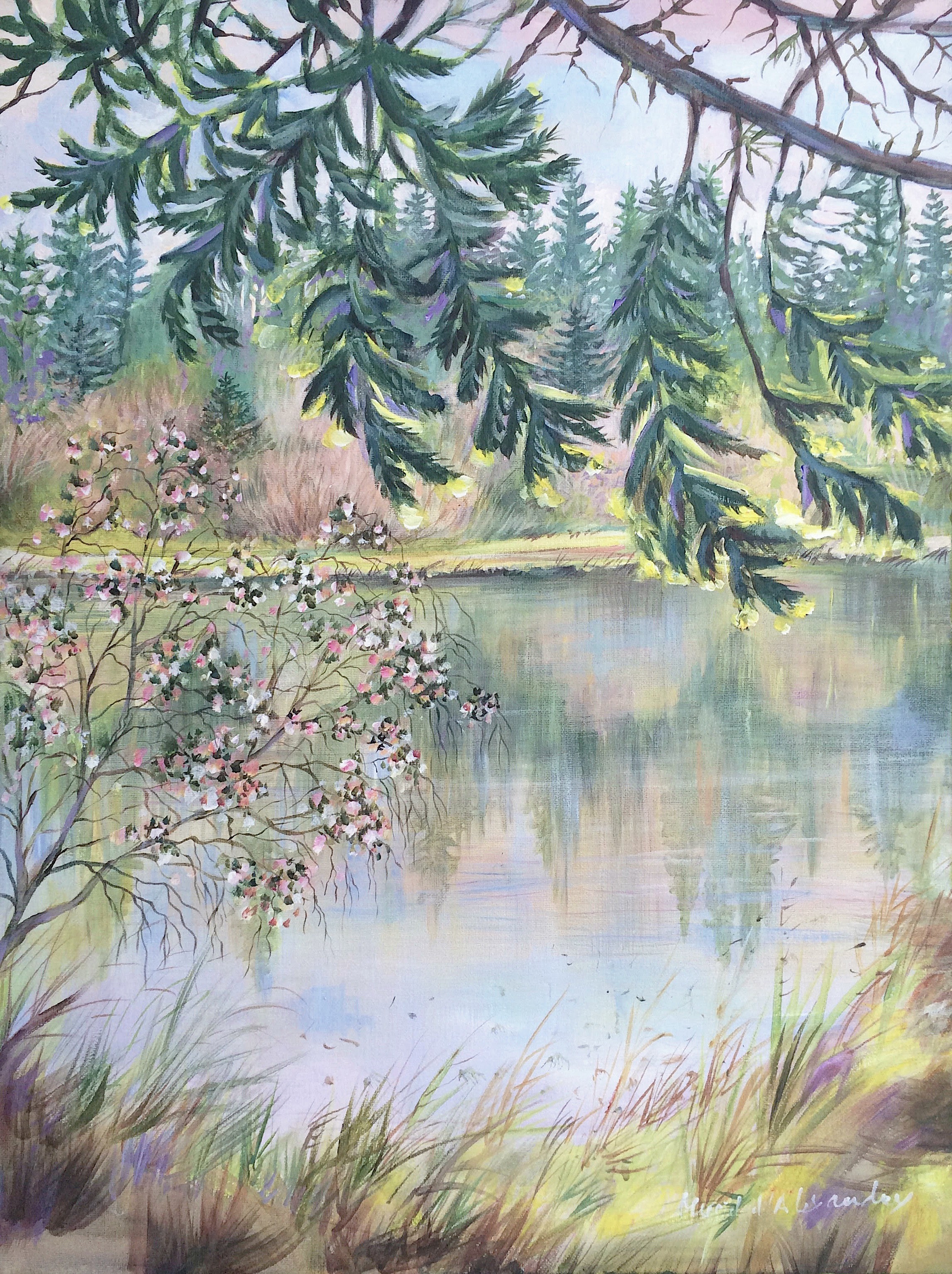 Muriel d'Alexandry, Lac de Margeride (Auvergne) Muriel d'Alexandry, Lac de Margeride (Auvergne)