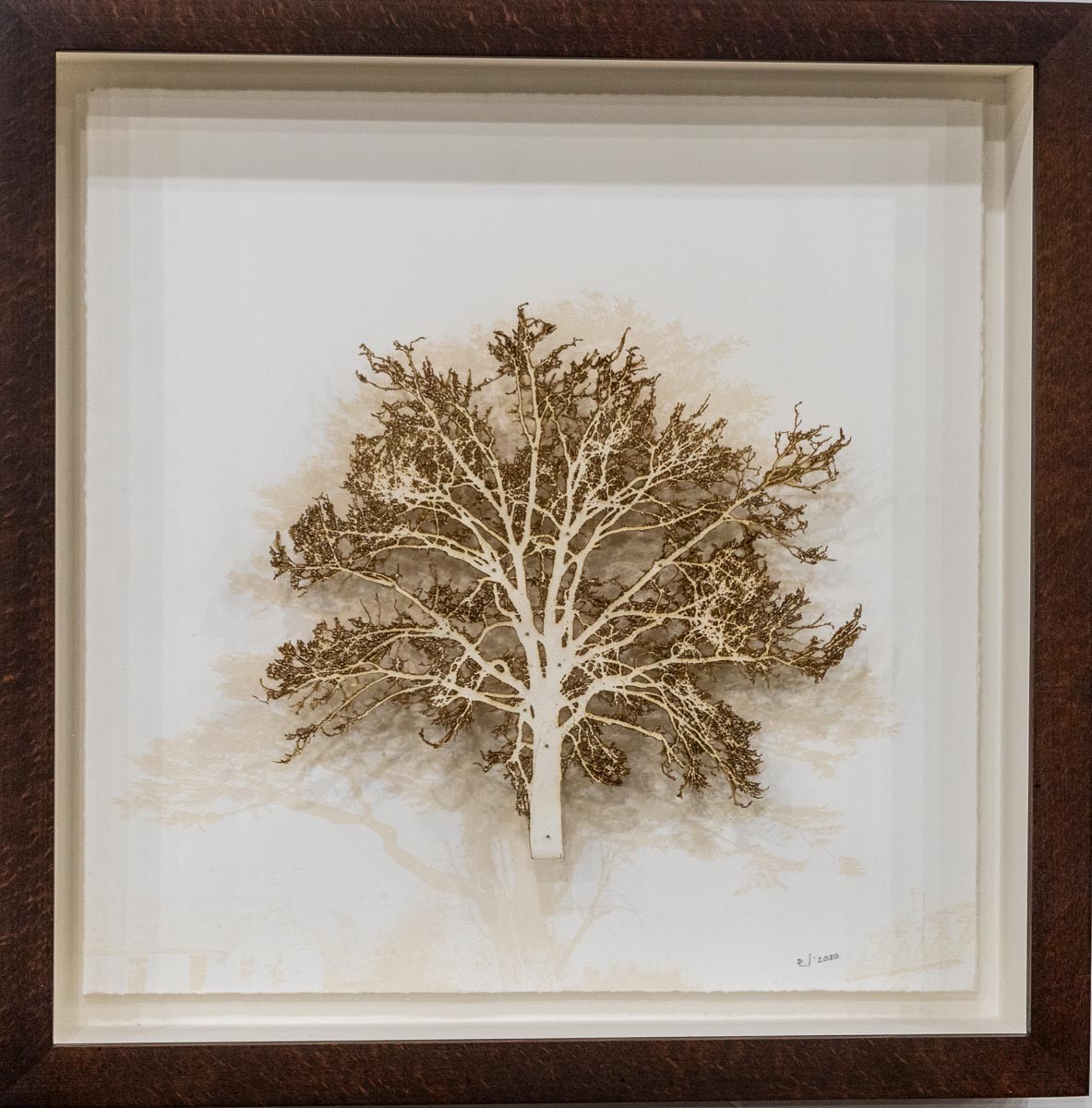 Emma Levine, Cedar Oak Emma Levine, Cedar Oak