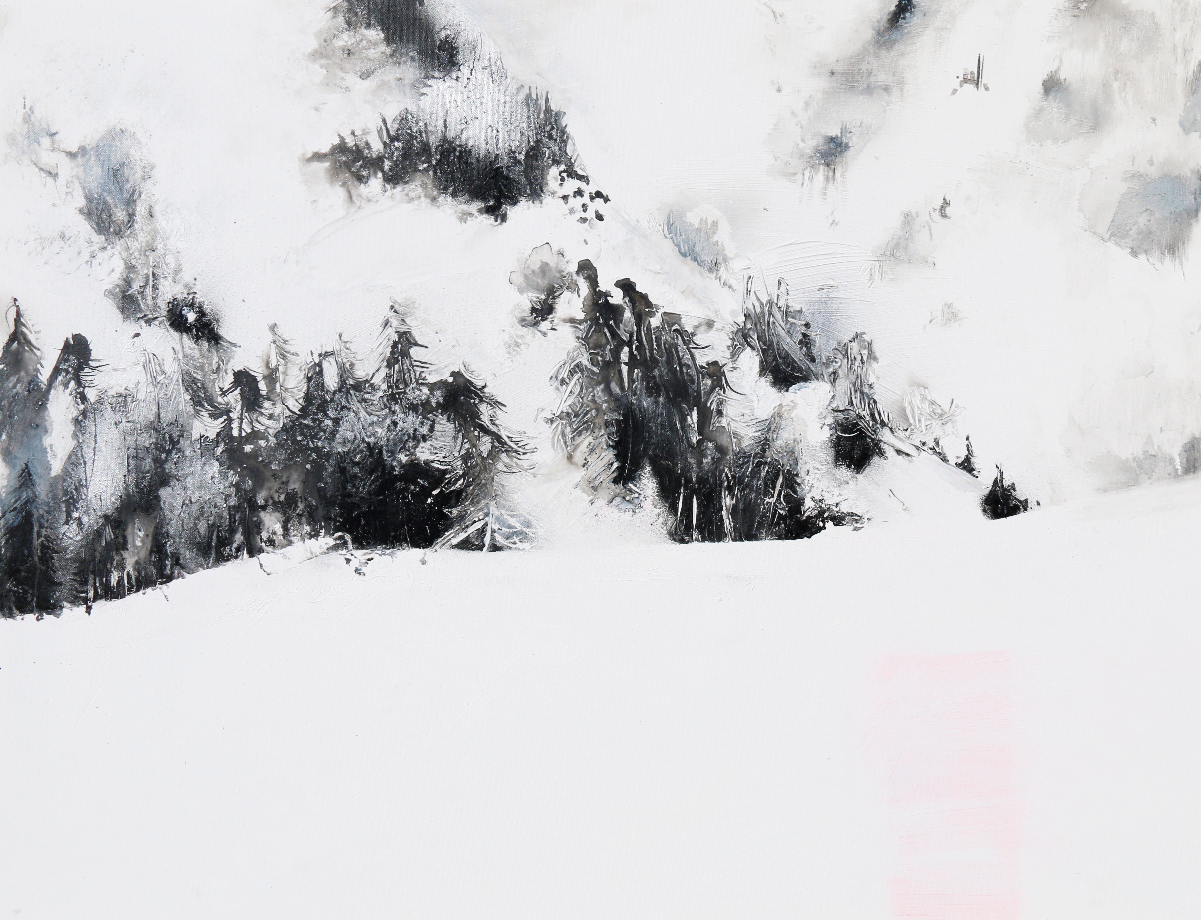 Adrianna MJW, Course aux contamines Adrianna MJW, Course aux contamines