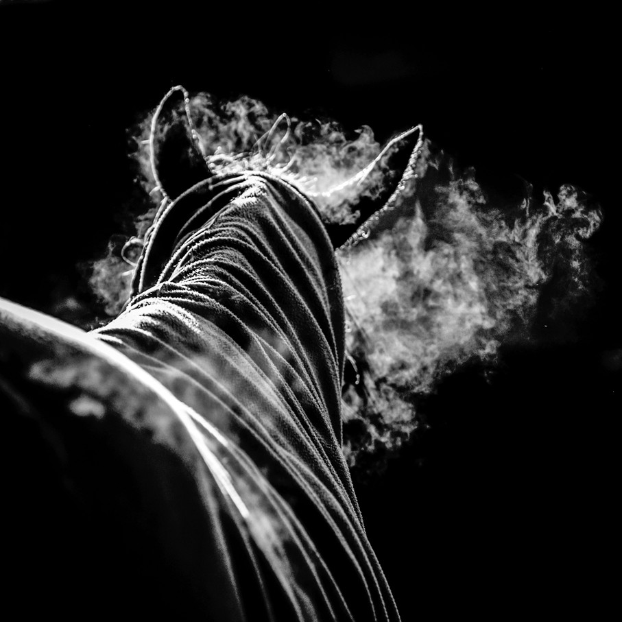 Bruno Charoy, Tracks XI Bruno Charoy, Tracks XI