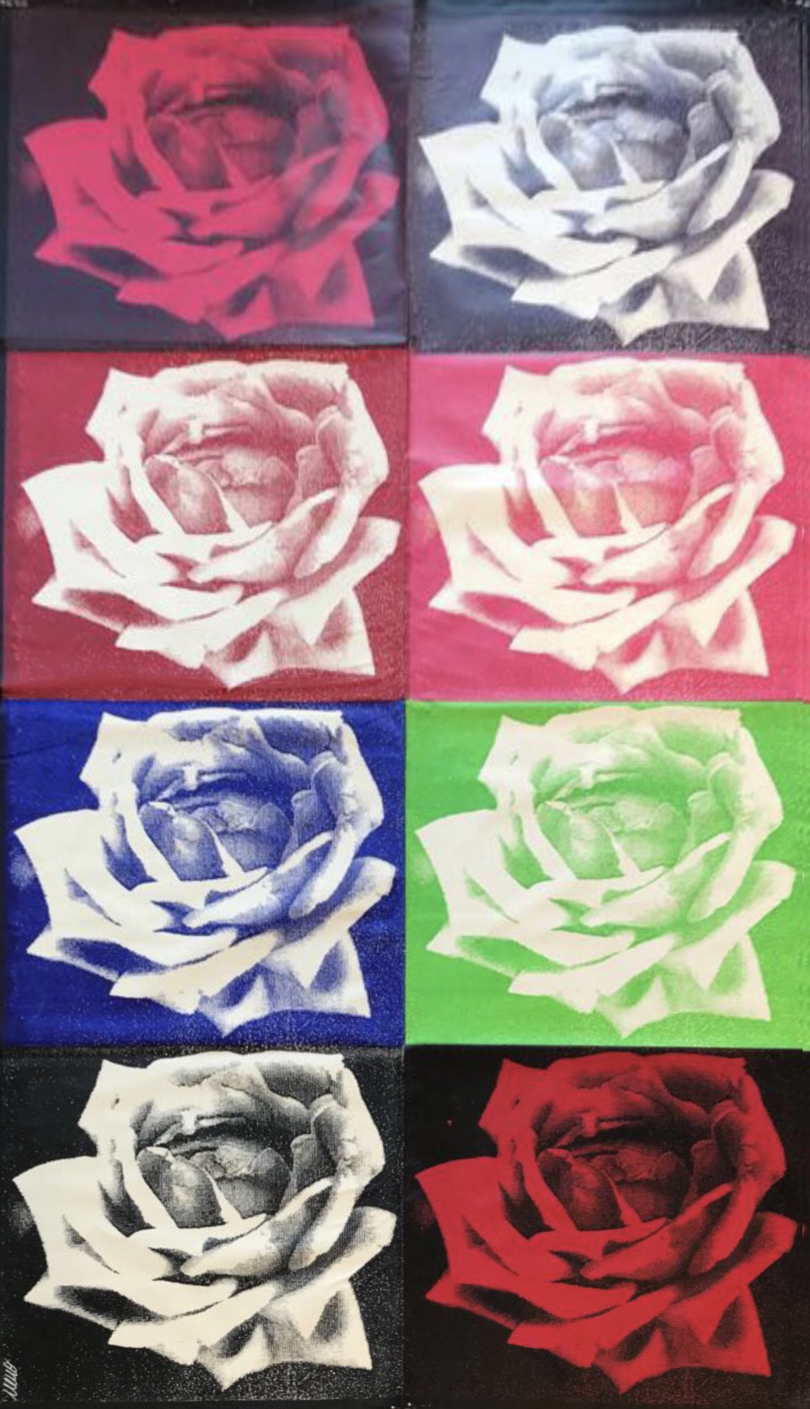 Neno Ramos, Eight Colors Roses Neno Ramos, Eight Colors Roses