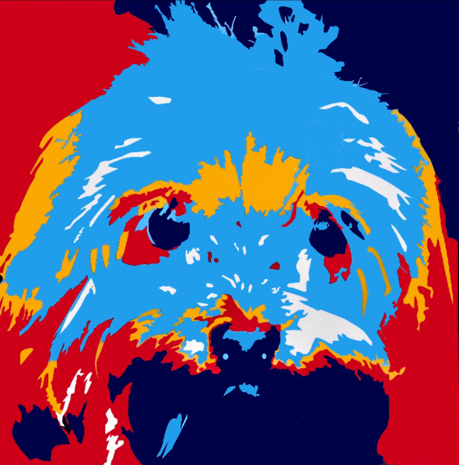 Neno Ramos, Cachóóórro (Dog) Neno Ramos, Cachóóórro (Dog)
