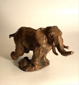 Eléphant rose, Cade