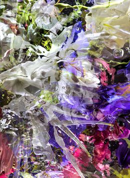 Photography, Aqua Flora X II, Allan Forsyth