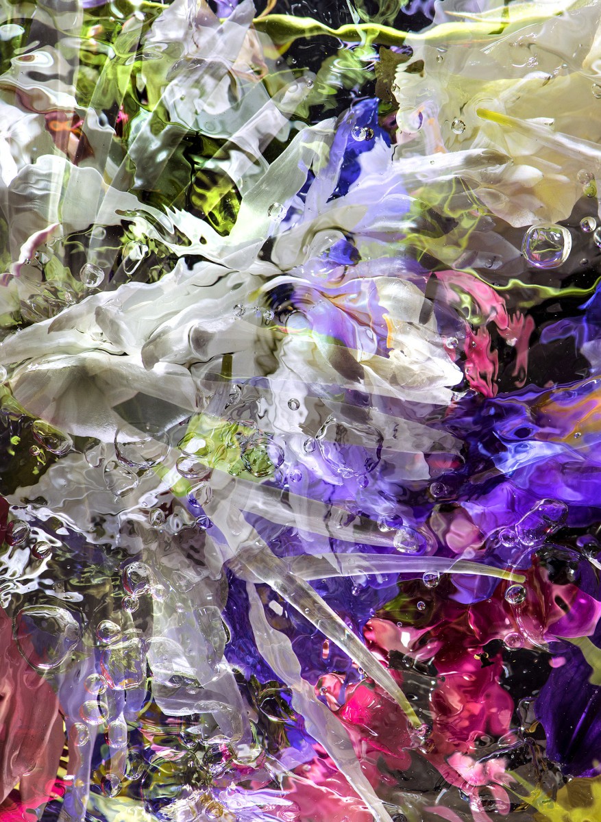 Allan Forsyth, Aqua Flora X II Allan Forsyth, Aqua Flora X II