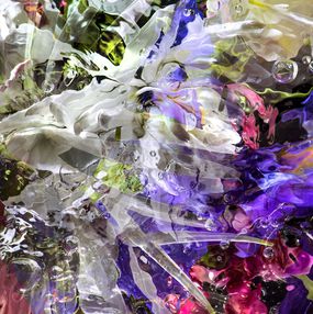 Photography, Aqua Flora X II, Allan Forsyth
