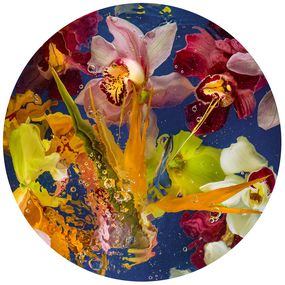 Photography, Aqua Flora III, Allan Forsyth