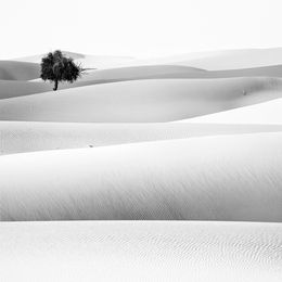 Photography, Dubai desert, United Arab Emirates, Alexandre Manuel