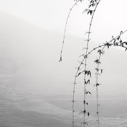 Photography, Landscape V, Vietnam, Alexandre Manuel