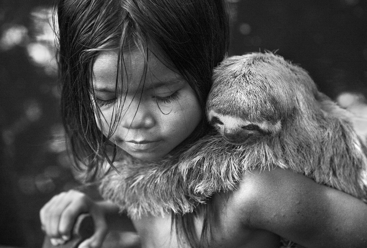 Araquém Alcântara, Child with sloth, The Amazon Forest, Brazil Araquém Alcântara, Child with sloth, The Amazon Forest, Brazil
