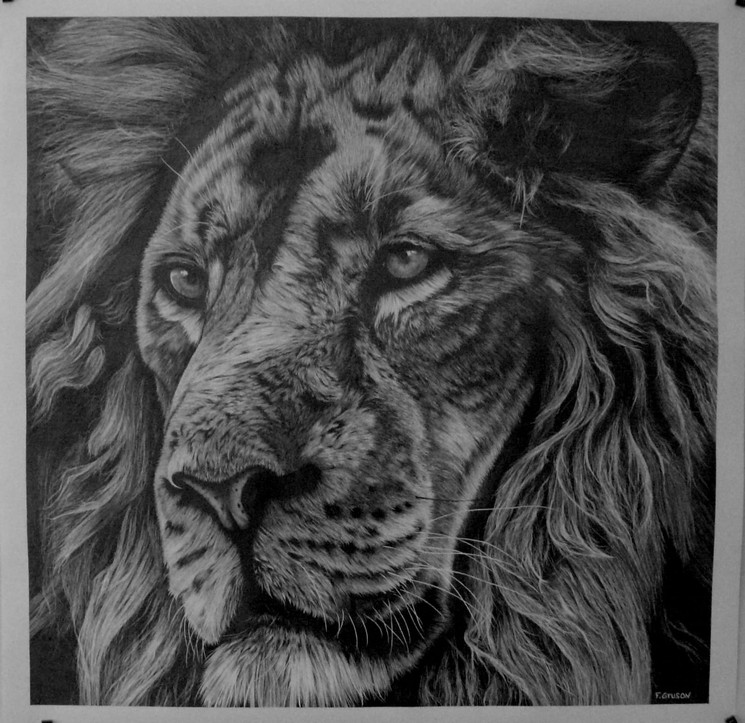 Tete De Lion By Francois Gruson 2021 Fine Art Drawings Artsper 1131459 Tete De Lion By Francois Gruson 2021 Fine Art Drawings Artsper 1131459