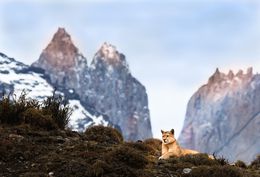 Photography, Torres del Puma, Paulo Behar