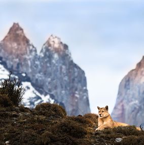 Photography, Torres del Puma, Paulo Behar