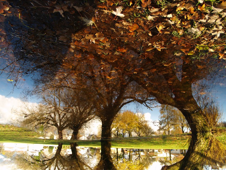 Jonathan Dy, Trout Lake Jonathan Dy, Trout Lake